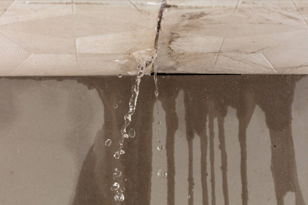 Professional Water Damage Inspection technician working in Perrinton, MI